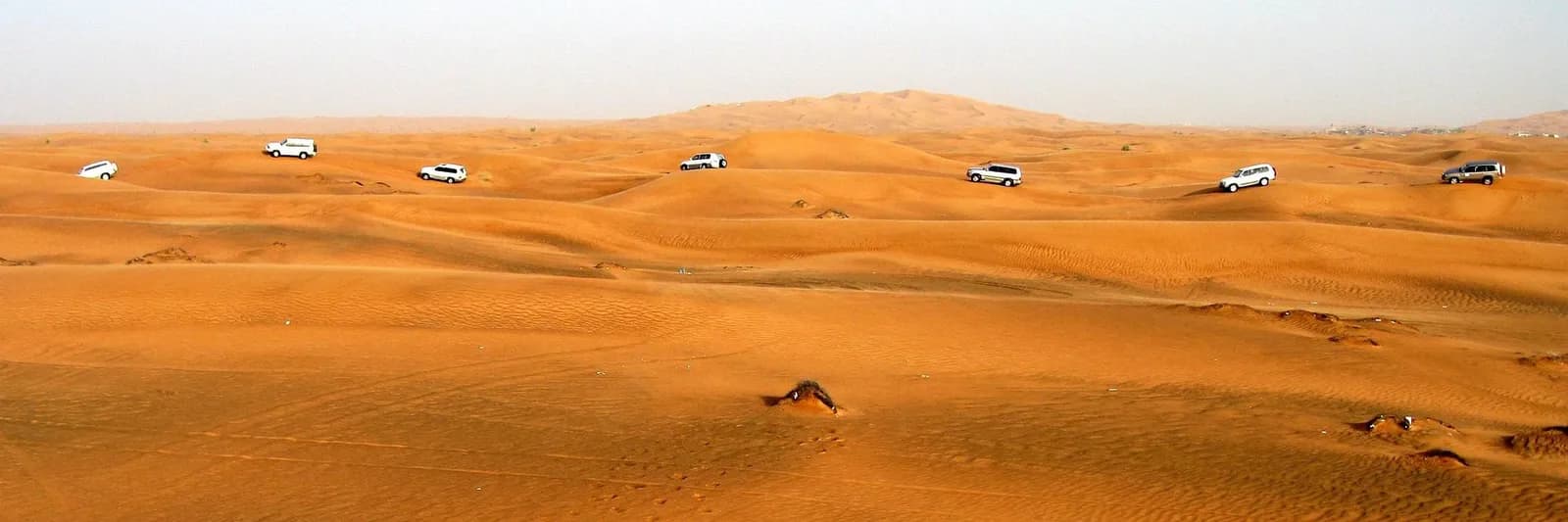Tour Booking Platform for UAE