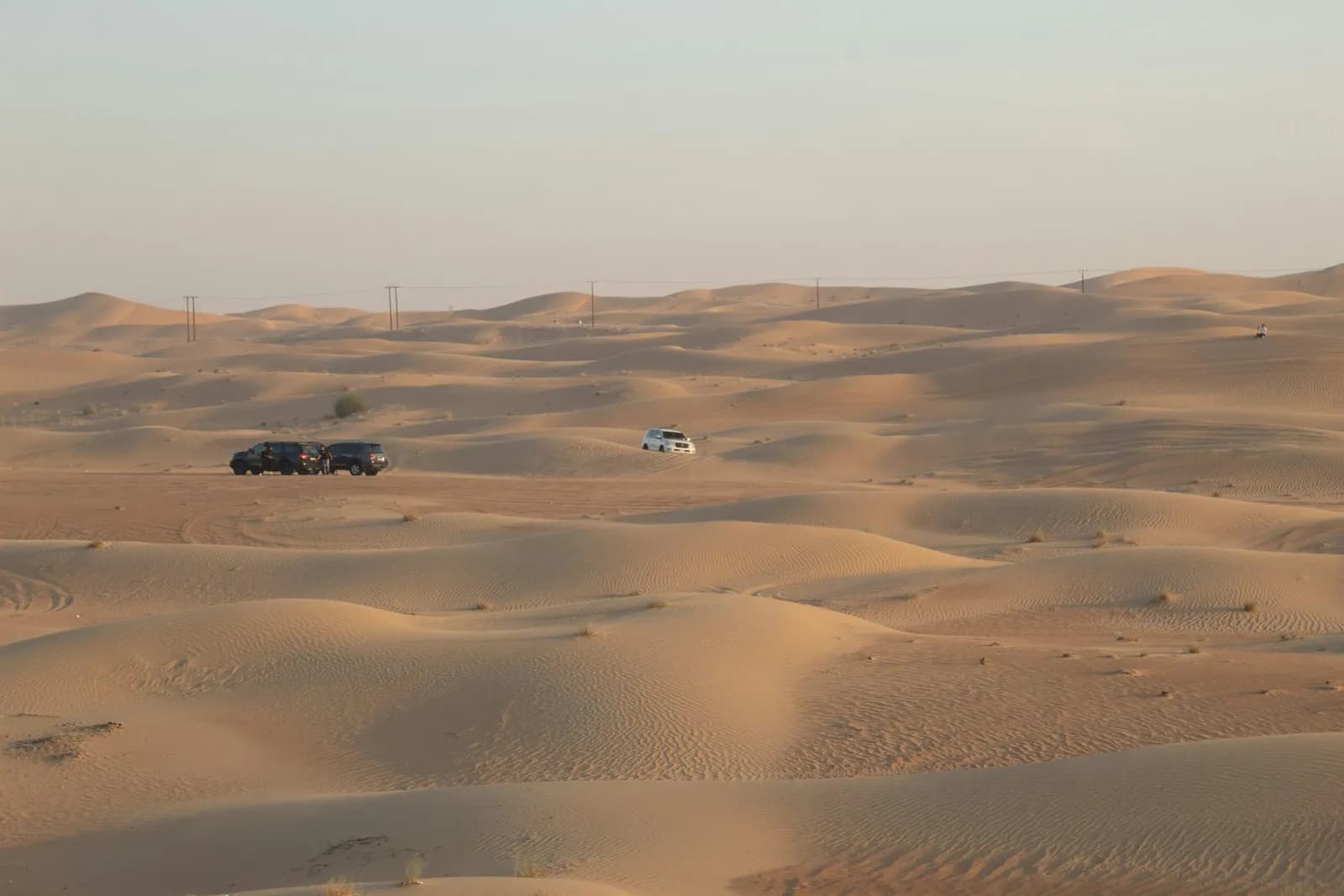 Morning desert safari, one of 24 bookable trips
